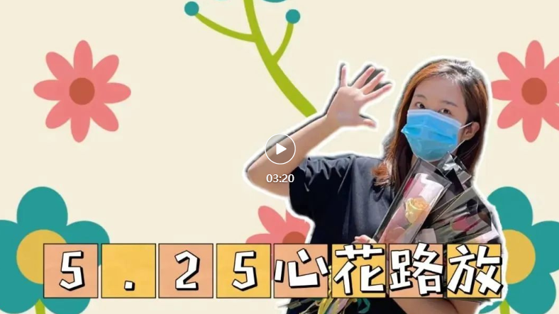 小马快跑 | 5·25,心花“路”放!